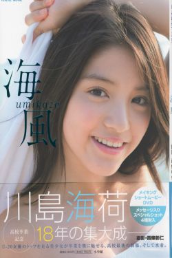 嫣语赋 电视剧
